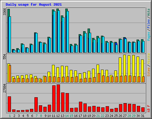 Daily usage for August 2021