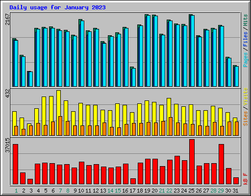 Daily usage for January 2023