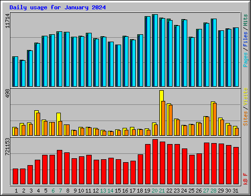 Daily usage for January 2024