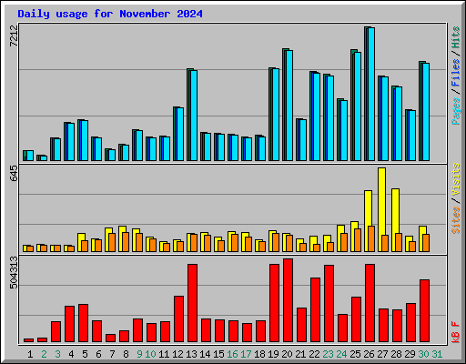 Daily usage for November 2024