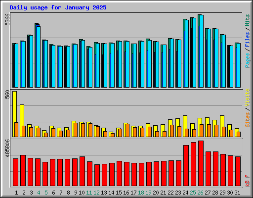 Daily usage for January 2025