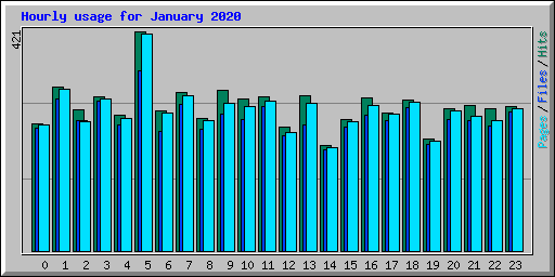 Hourly usage for January 2020