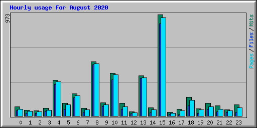 Hourly usage for August 2020