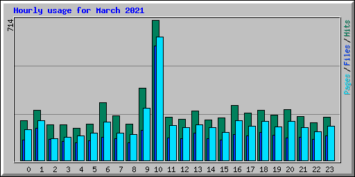 Hourly usage for March 2021