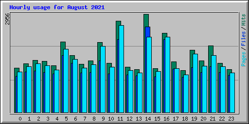Hourly usage for August 2021