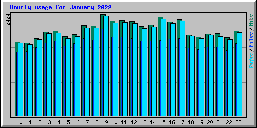 Hourly usage for January 2022