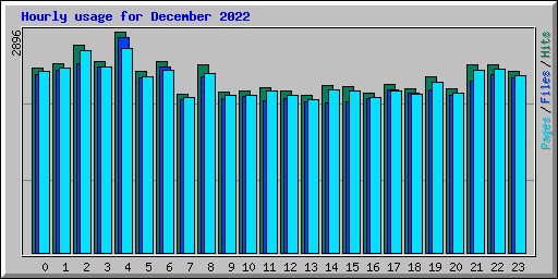 Hourly usage for December 2022