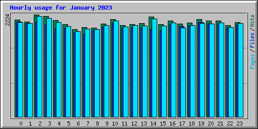 Hourly usage for January 2023