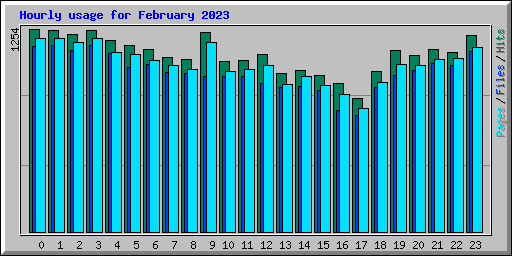 Hourly usage for February 2023