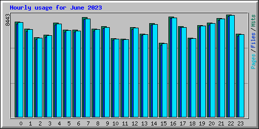 Hourly usage for June 2023