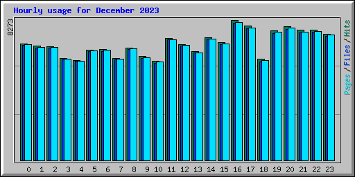 Hourly usage for December 2023