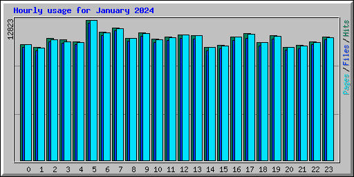 Hourly usage for January 2024