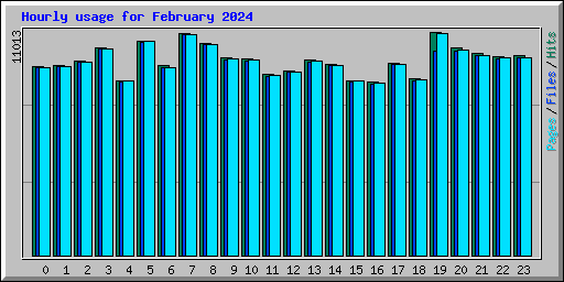Hourly usage for February 2024