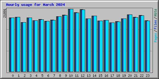 Hourly usage for March 2024