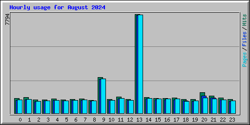 Hourly usage for August 2024