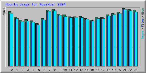 Hourly usage for November 2024