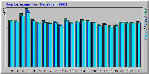 Hourly usage for December 2024