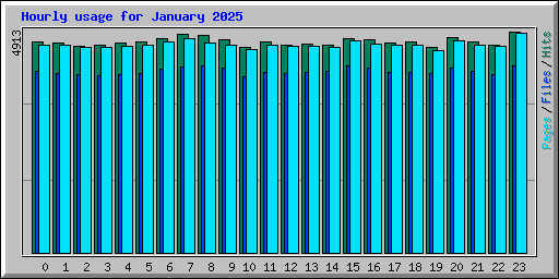 Hourly usage for January 2025