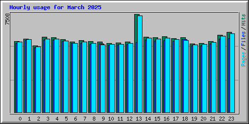 Hourly usage for March 2025