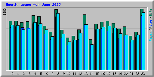 Hourly usage for June 2025