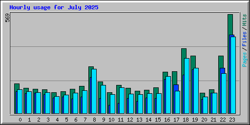 Hourly usage for July 2025