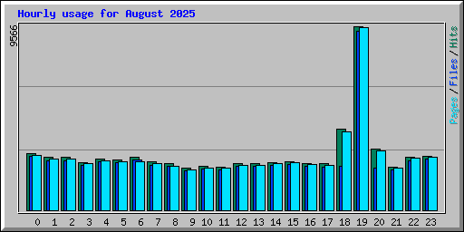 Hourly usage for August 2025