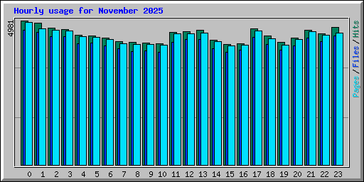 Hourly usage for November 2025