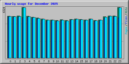 Hourly usage for December 2025