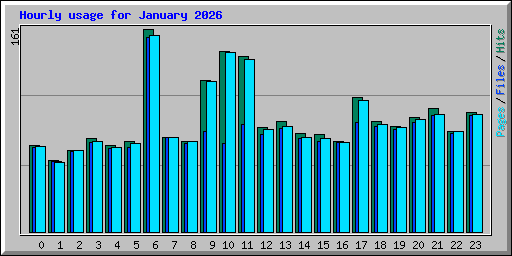 Hourly usage for January 2026