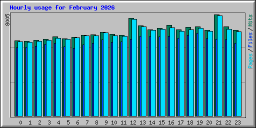 Hourly usage for February 2026